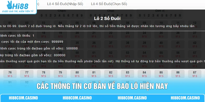 Bao Lô Là Gì? Hướng Dẫn 3 Thể Loại Thường Gặp Hiện Nay 1 Các thông tin cơ bản về bao lô hiện nay