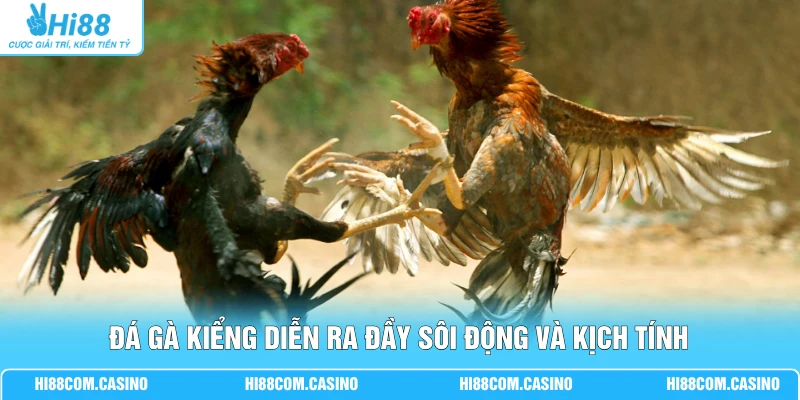 Đá Gà Kiểng - Cập Nhật Các Quy Định Luật Chơi Mới Hiện Nay 1 Đá gà kiểng diễn ra đầy sôi động và kịch tính