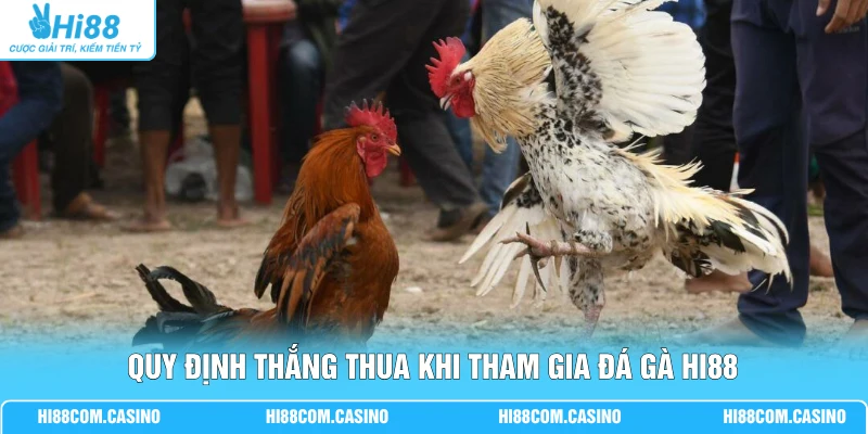 Đá Gà Sabong - Hướng Dẫn Cá Cược, Luật Chơi Mới Hiện Nay 2 Quy định thắng thua khi tham gia đá gà Hi88